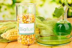 Scout Dike biofuel availability